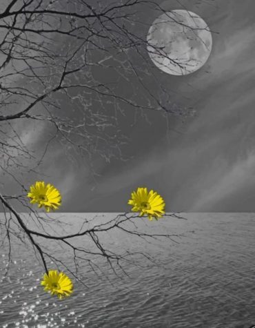 Yellow Aesthetic Seascape Paint By Numbers