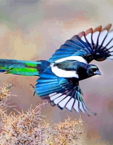 Black Billed Magpie Bird Painting Kit Paint By Numbers