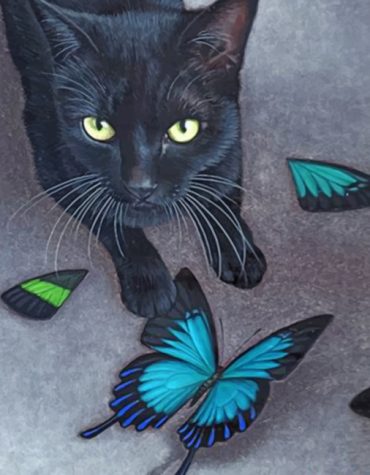 Black Cat with Butterflies Paint By Numbers