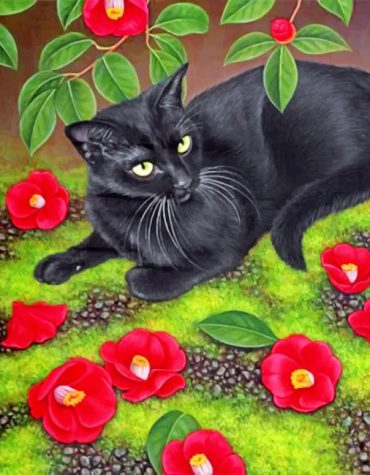Black Cat Animal Paint By Numbers