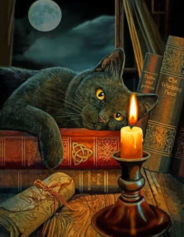 Black Cat and Candle Scene Paint By Numbers