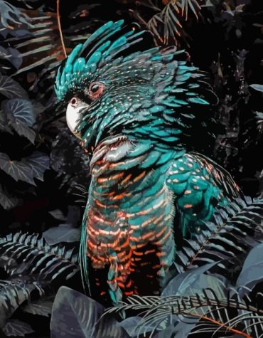Black Cockatoo Bird Paint By Numbers