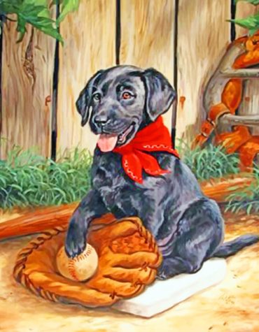 Black Dogs Paint By Numbers
