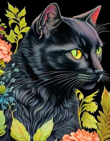 Black Floral Cat Paint By Numbers