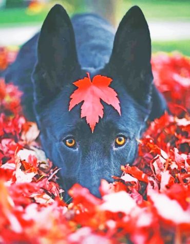 German Shepherd Autumn Scene Paint By Numbers