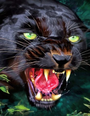 Majestic Black Panther Paint By Numbers