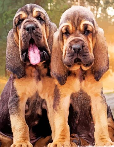 Bloodhound Puppies Dogs Paint By Numbers