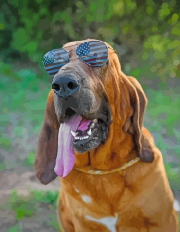 Bloodhound Sunglasses Paint By Numbers