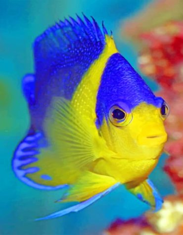 Blue and Gold Fish Sea Life Paint By Numbers