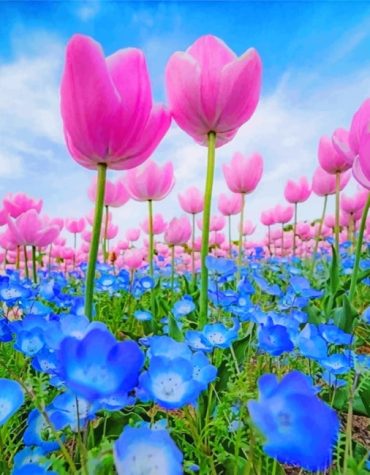 Blue and Pink Floral Delight Paint By Numbers