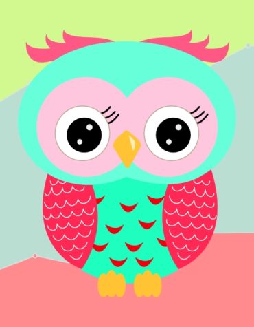 Teal and Pink Owl Paint By Numbers