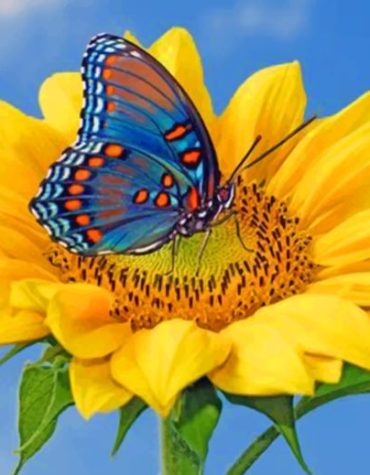 Blue Swallowtail Butterfly Paint By Numbers