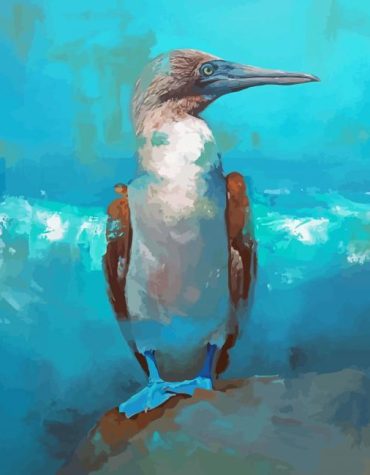 Blue Footed Boobie Painting Paint By Numbers