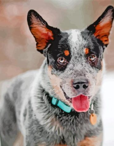 Blue Heeler Vincent van Gogh Style Paint By Numbers