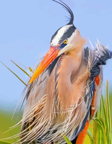 Blue Heron Wildlife Paint By Numbers