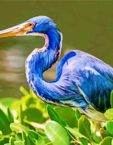 Blue Heron Wildlife Paint By Numbers