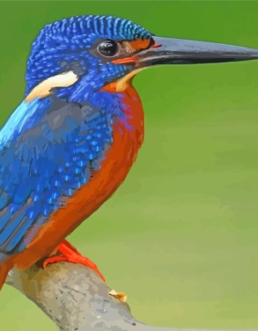 Blue Kingfisher Paint By Numbers