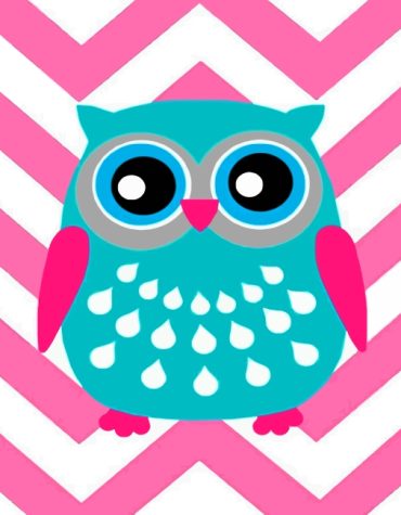 Blue Owl Painting Kit Paint By Numbers