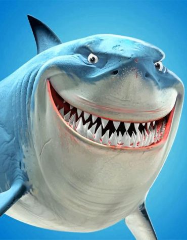 Blue Shark Animation Paint By Numbers