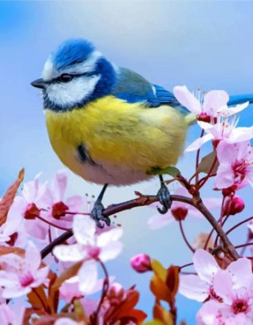 Eurasian Blue Tit Paint By Numbers