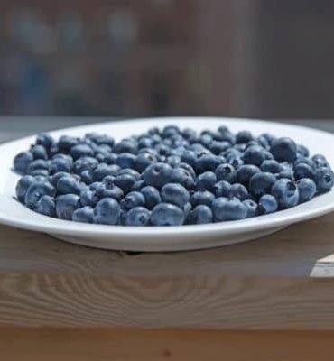 Blueberry Bliss Paint By Numbers