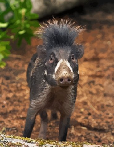 Wild Boar Adventure Paint By Numbers