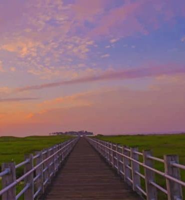 Sunset Marsh Boardwalk Paint By Numbers