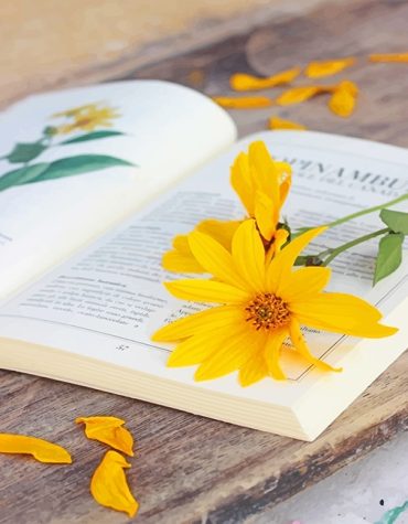 Yellow Flower Mood Paint By Numbers