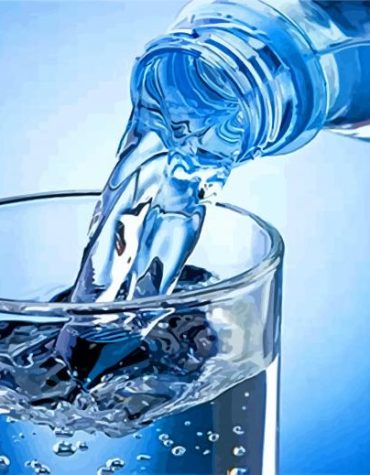 Cup and Water Bottle Paint By Numbers