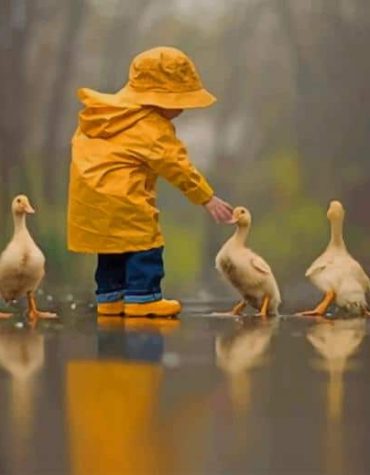 Boy and Little Ducks Paint By Numbers