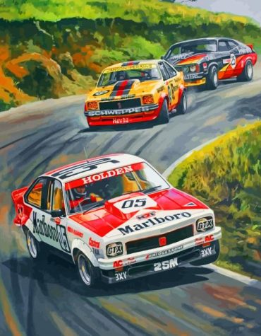 Brock Bathurst Race Car Paint By Numbers