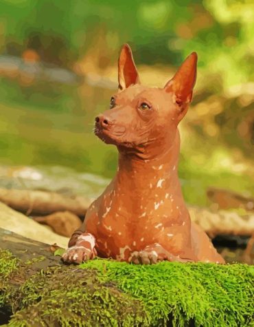 Brown Xolo Puppies Paint By Numbers