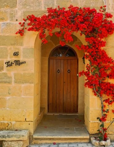 Red Flowers Wooden Door Paint By Numbers