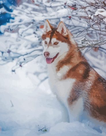Brown Husky Winter Scene Paint By Numbers