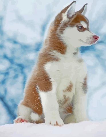 Brown Husky Winter Wonderland Paint By Numbers