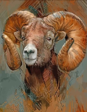 Majestic Bighorn Ram Paint By Numbers
