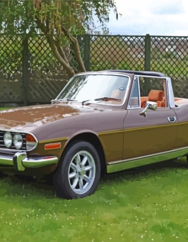 Brown Triumph Stag Classic Car Paint By Numbers