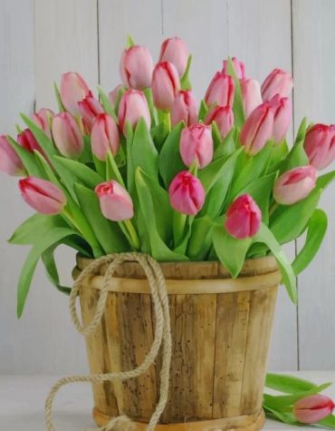 Pink Tulips Bouquet Paint By Numbers