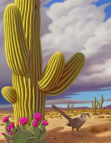 Birds and Saguaro Paint By Numbers