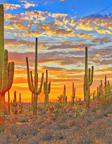 Cactus Landscape Paint By Numbers