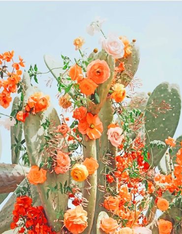 Cactus Flower Aesthetic Paint By Numbers