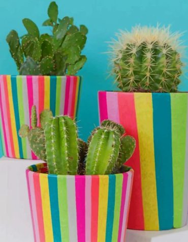 Cactus and Vases Paint By Numbers