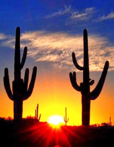 Cactus Sunrise View Paint By Numbers