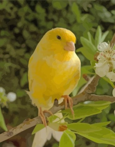 Canary and Flower Paint By Numbers
