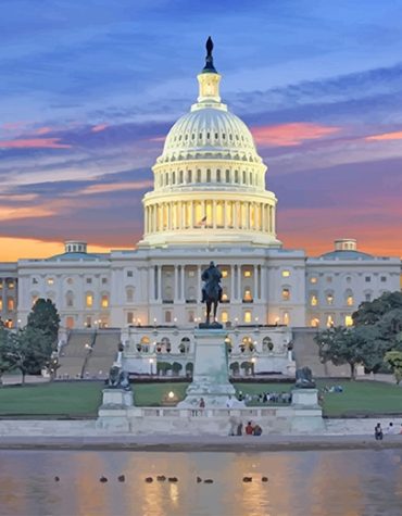 Washington Capitol Grounds Landmark Paint By Numbers