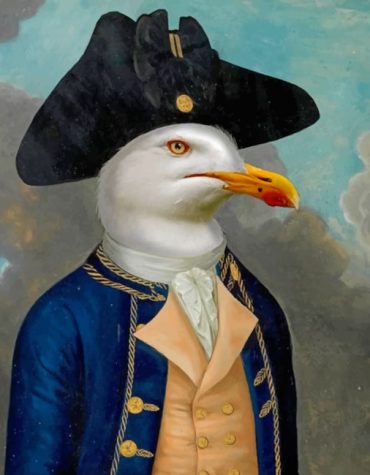 Captain Seagull Sea Birds Paint By Numbers