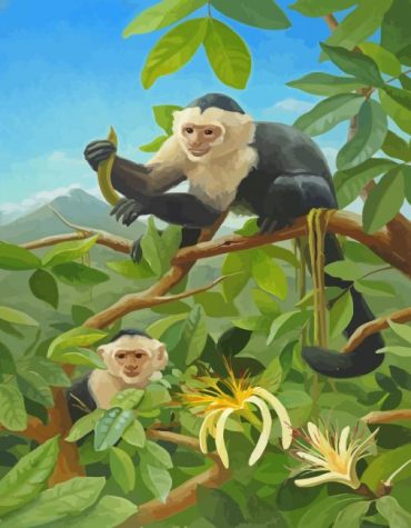 Capuchin Monkeys Wildlife Paint By Numbers