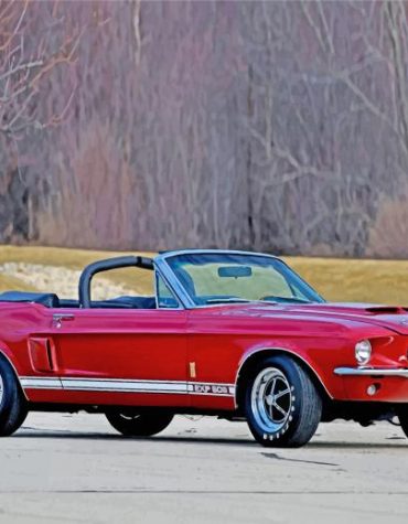 1967 Ford Shelby GT500 Paint By Numbers