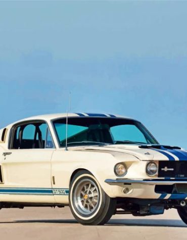 White Ford GT500 Muscle Car Paint By Numbers