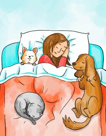 Cartoon Girl with Pet Paint By Numbers